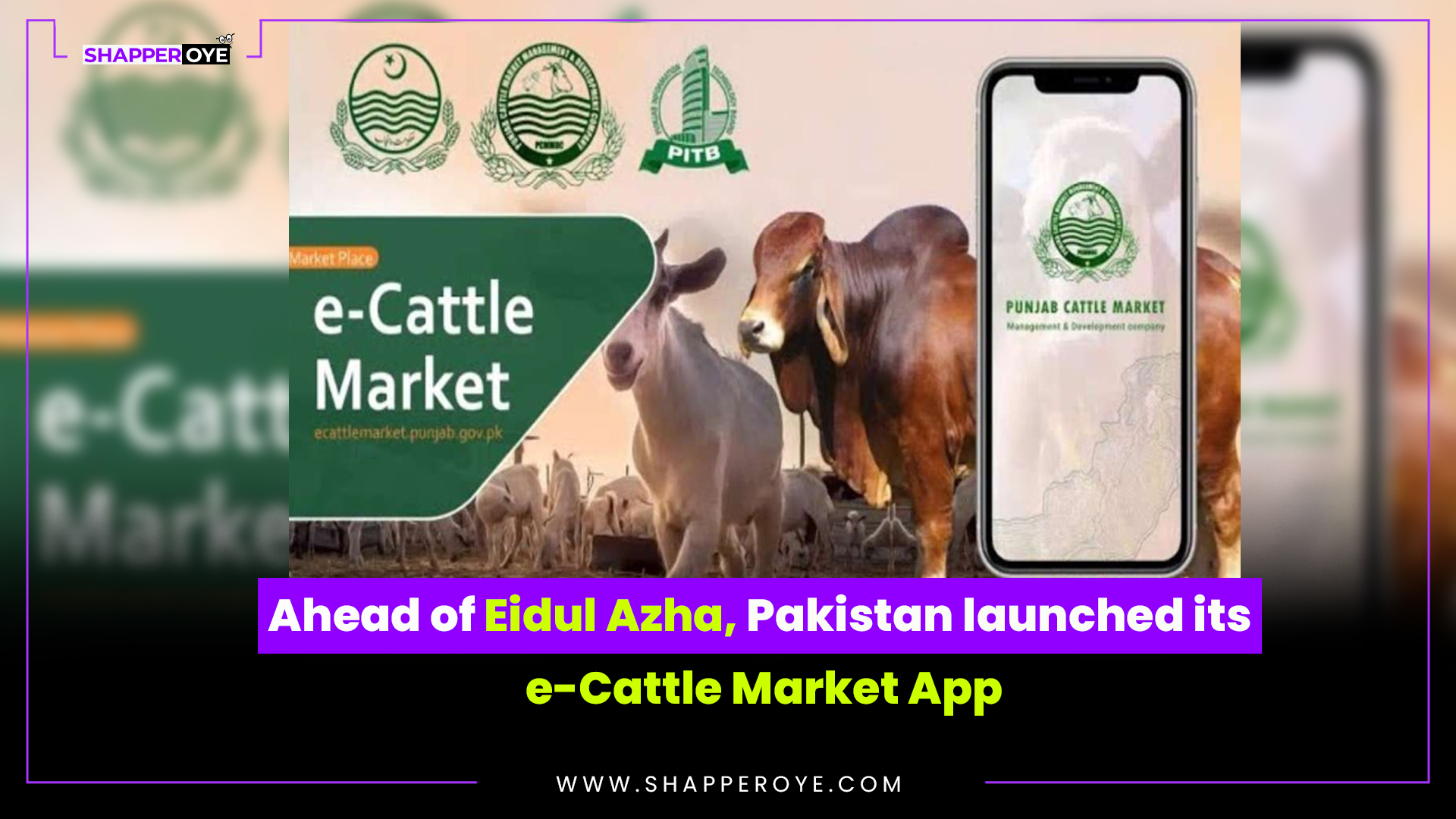 Eidul Azha, Pakistan launched its e-Cattle Market App