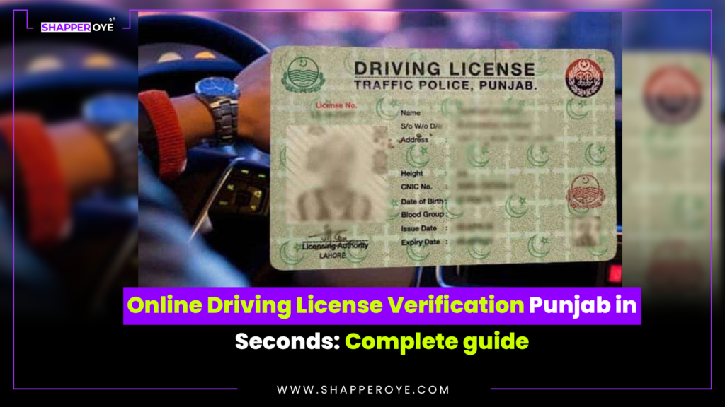 Online Driving License Verification Punjab in Seconds: Complete guide