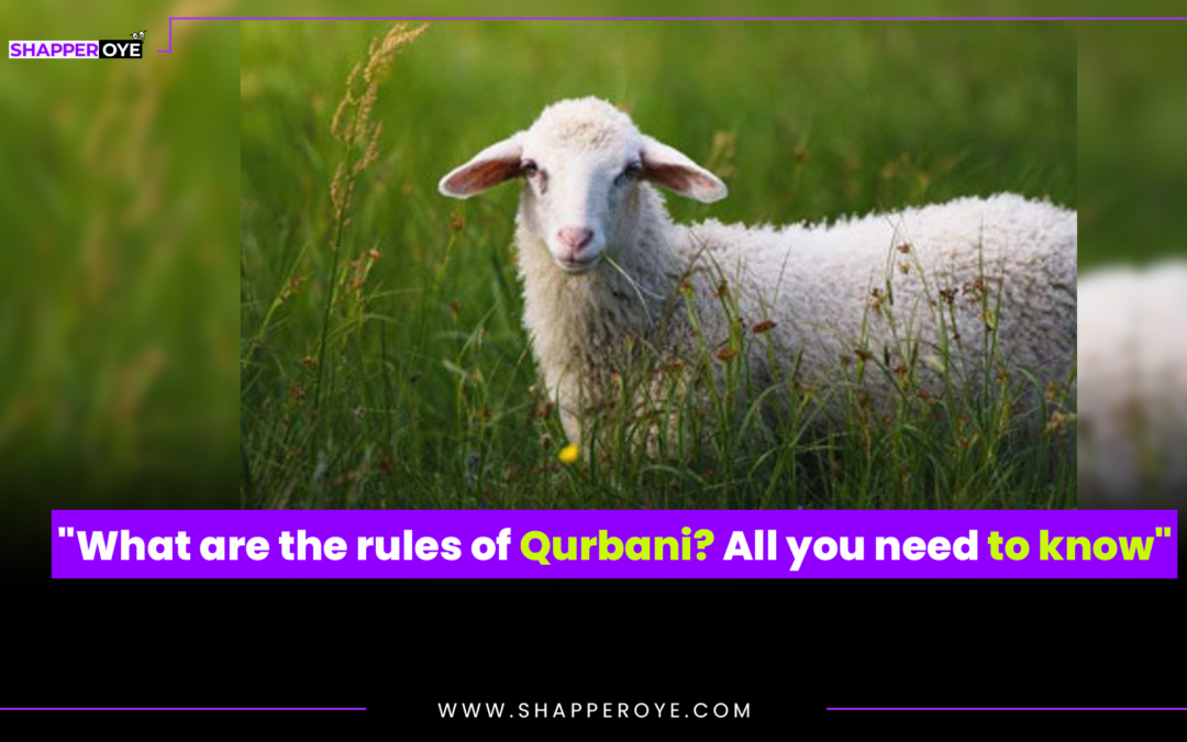What are the rules of Qurbani? All you need to know