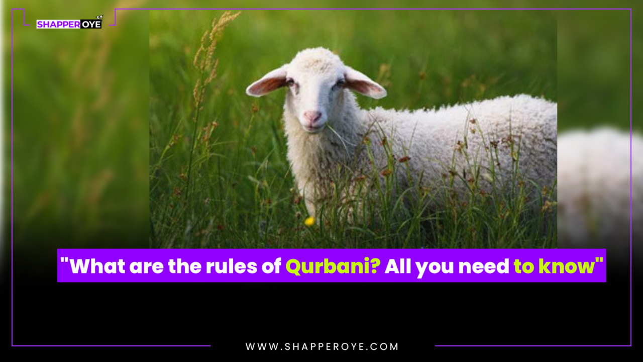 What Are The Rules Of Qurbani? All You Need To Know - Shapper Oye News ...